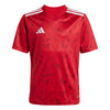 Team Icon 25 Junior Jersey