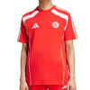 FC Bayern Munich Urban Purist T-Shirt 2025/26