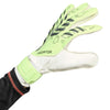 Predator Training Goalkeeper Gloves