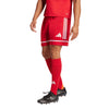 Squadra 25 Shorts
