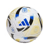 Argentina AFA 25 League Soccer Ball 2025/26