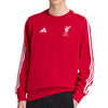 Liverpool FC DNA Sweatshirt 2025/26