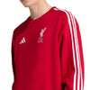Liverpool FC DNA Sweatshirt 2025/26