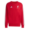 Liverpool FC DNA Sweatshirt 2025/26
