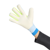Predator Pro Goalkeeper Gloves