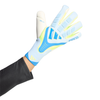 Predator Pro Goalkeeper Gloves
