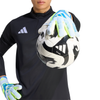 Predator Pro Goalkeeper Gloves