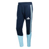Argentina AFA Tiro Training Pants 2026/27