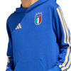 Italy FIGC DNA Junior Hoodie 2026/27