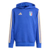 Italy FIGC DNA Junior Hoodie 2026/27