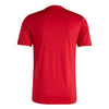 Entrada 26 Jersey