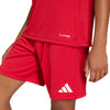 Entrada 26 Junior Jersey
