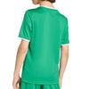 Entrada 26 Junior Jersey