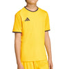 Entrada 26 Junior Jersey