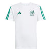 Mexico FMF DNA Junior T-Shirt 2026/27