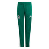 Mexico FMF DNA Junior Pants 2026/27