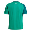 Northern Ireland IFA Junior Home Jersey 2026/27