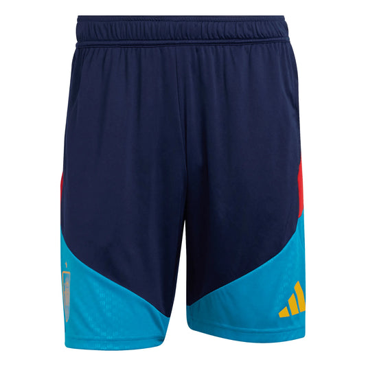 Spain RFEF Tiro Training Shorts 2026/27