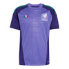 Mexico FMF Goalkeeper Away Jersey 2026/27