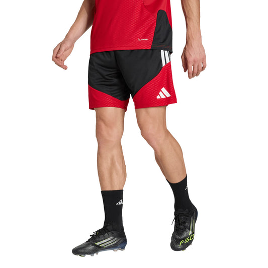 Germany DFB Tiro Training Shorts 2026/27