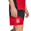 Germany DFB Tiro Training Shorts 2026/27