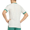 Northern Ireland IFA Authentic Away Jersey 2026/27