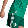 Algeria FAF Authentic Away Jersey 2026/27