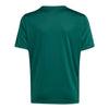 Entrada 26 Junior Jersey