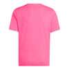 Entrada 26 Junior Jersey