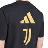 Juventus FC Seasonal Graphic T-Shirt 2026/27