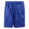 Japan JFA EQT Shorts 2026/27