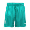 Germany DFB EQT Shorts 2026/27