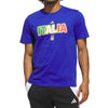 Italy FIGC World Cup 26 Home Graphic T-Shirt