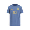 Argentina AFA Messi Name And Number Junior Graphic T-Shirt