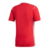 Tiro 17 Jersey